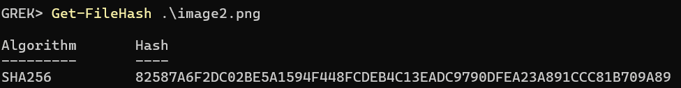 PowerShell output showing a new SHA-256 digest for the resized image